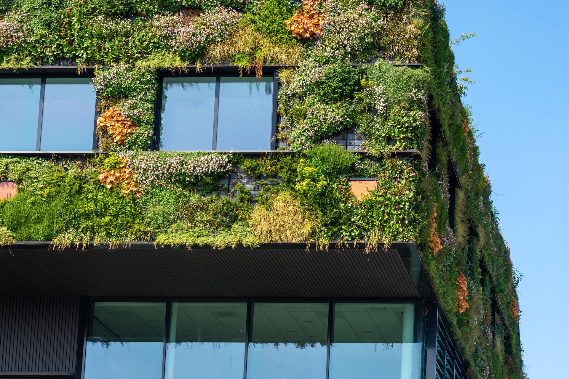 Modern sustainable building with green, living wall with variety of plants