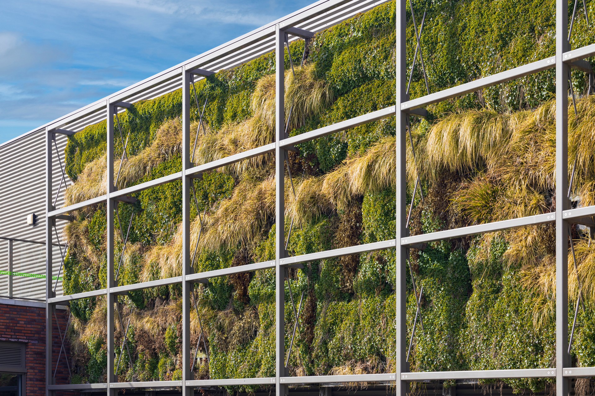 vertical garden on the side of a outside wall for energy efficiency and biodiversity