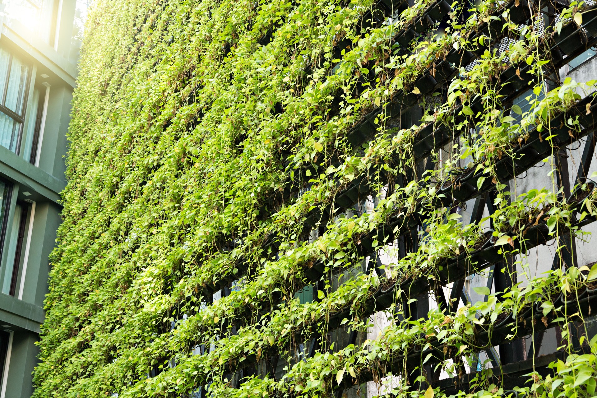 Green Wall – Vertical Garden –  BioWall